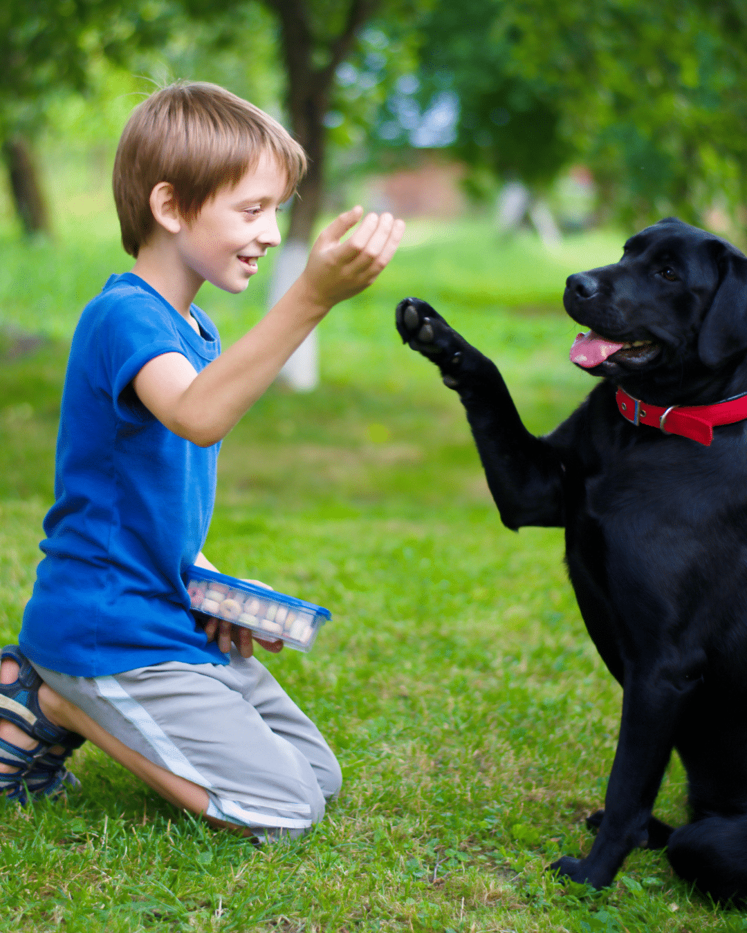 young person with dog